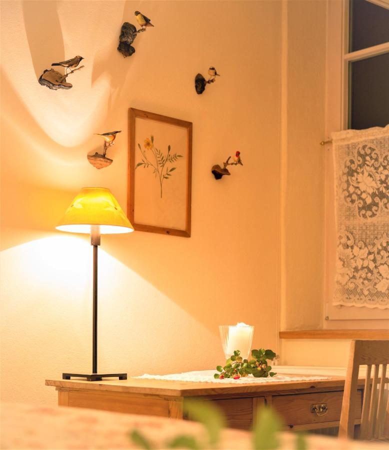 Hannas Alpengruss Apartment - Zimmer 제펠드 인 티롤 외부 사진